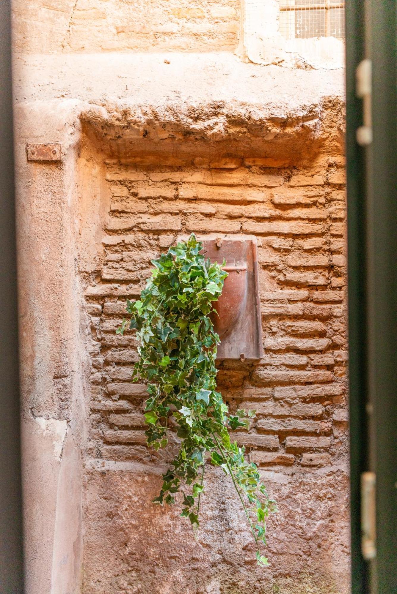 Loft Via Della Scala With Terrace Roma